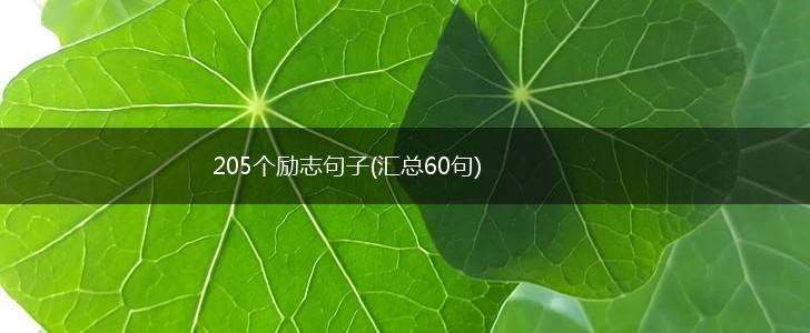205个励志句子(汇总60句),第1张