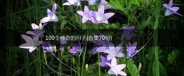 100个神奇的句子(合集70句),第1张