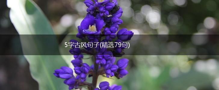 5字古风句子(精选79句),第1张