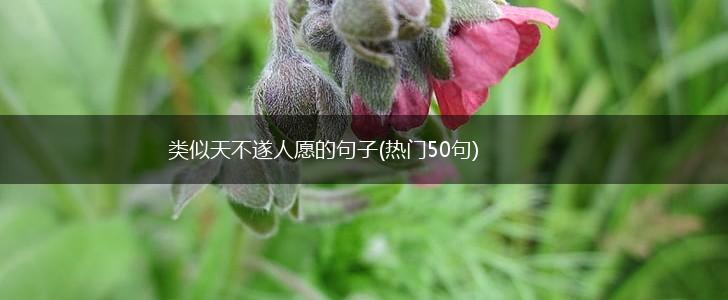 类似天不遂人愿的句子(热门50句),第1张