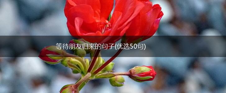 等待朋友归来的句子(优选50句),第1张