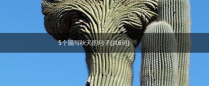 5个描写秋天的句子(共6句),第1张
