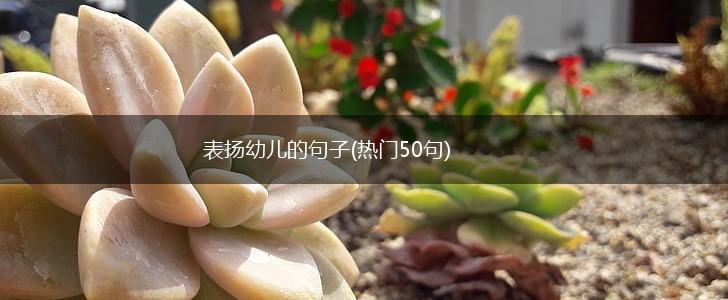 表扬幼儿的句子(热门50句),第1张