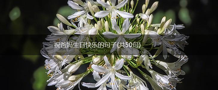 祝爸妈生日快乐的句子(共50句),第1张