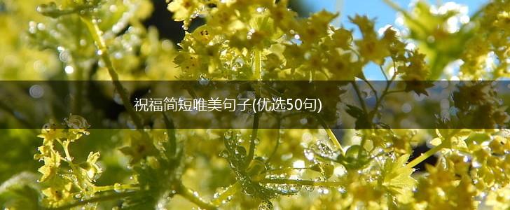 祝福简短唯美句子(优选50句),第1张