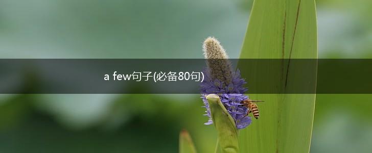 a few句子(必备80句),第1张