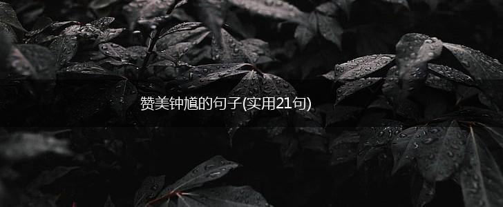 赞美钟馗的句子(实用21句),第1张