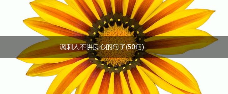 讽刺人不讲良心的句子(50句),第1张