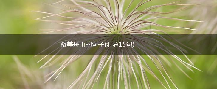 赞美舟山的句子(汇总15句),第1张
