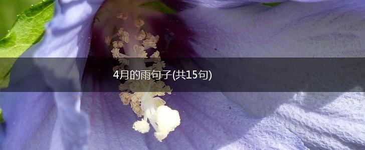 4月的雨句子(共15句),第1张