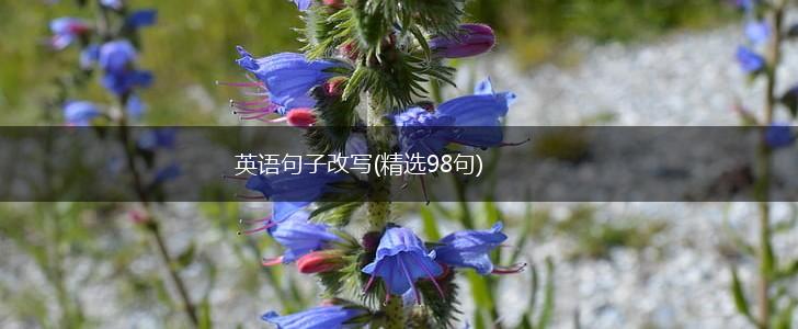 英语句子改写(精选98句),第1张