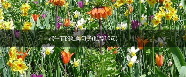 端午节的唯美句子(推荐10句),第1张