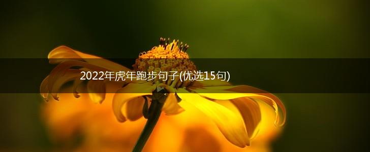 2022年虎年跑步句子(优选15句),第1张