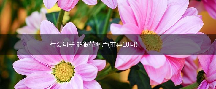 社会句子 超狠带图片(推荐10句),第1张