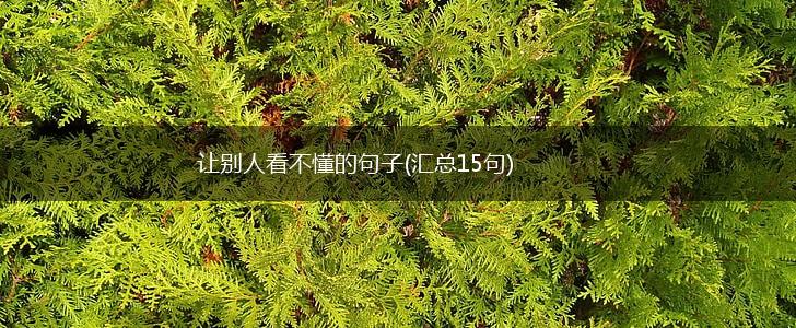 让别人看不懂的句子(汇总15句),第1张
