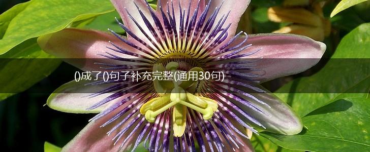 ()成了()句子补充完整(通用30句),第1张