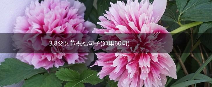 3.8父女节祝福句子(通用60句),第1张
