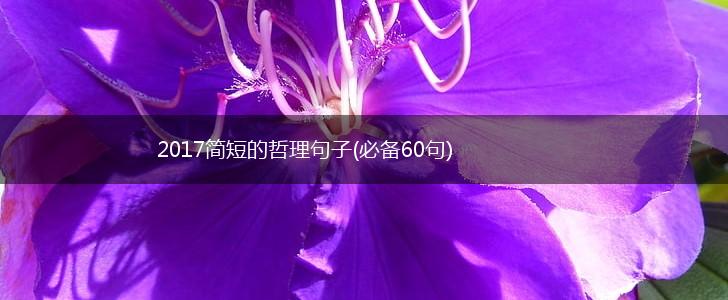 2017简短的哲理句子(必备60句),第1张