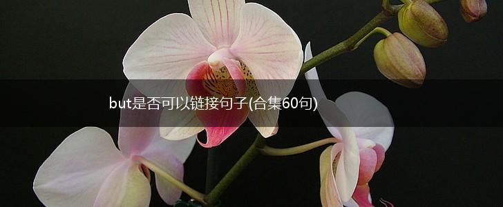 but是否可以链接句子(合集60句),第1张