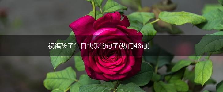 祝福孩子生日快乐的句子(热门48句),第1张