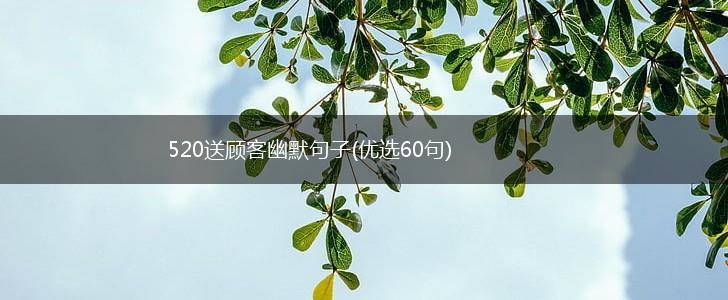 520送顾客幽默句子(优选60句),第1张