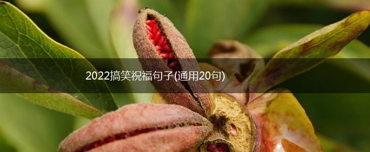 2022搞笑祝福句子(通用20句),第1张