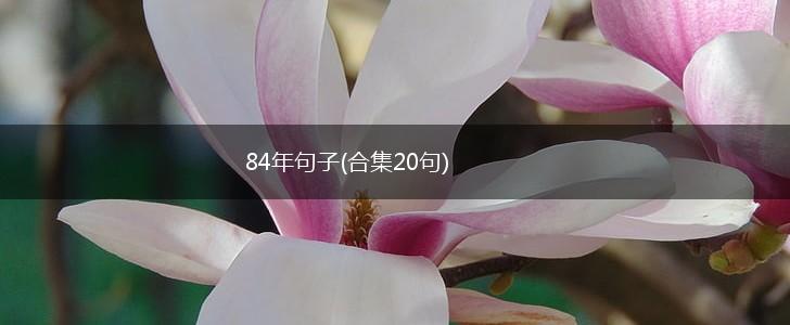 84年句子(合集20句),第1张