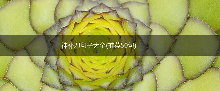 神补刀句子大全(推荐50句),第1张