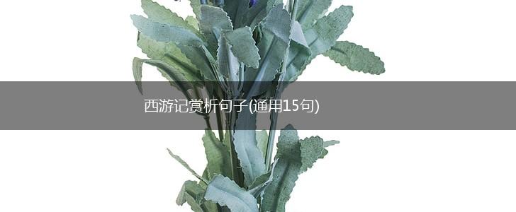 西游记赏析句子(通用15句),第1张