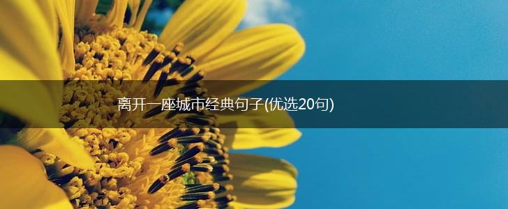 离开一座城市经典句子(优选20句),第1张