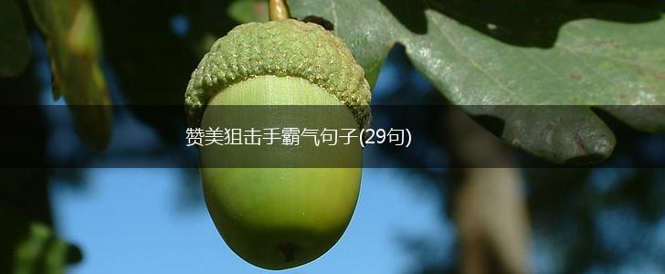赞美狙击手霸气句子(29句),第1张
