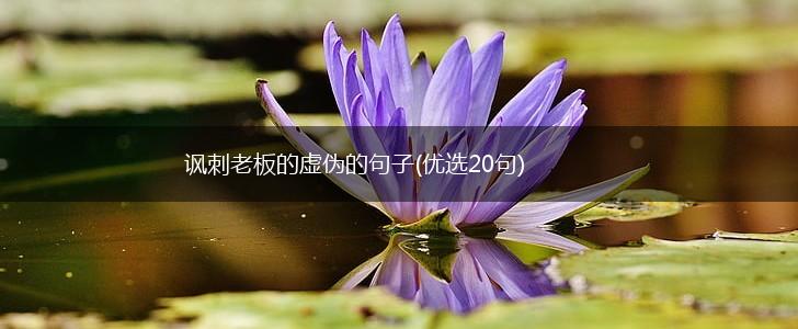 讽刺老板的虚伪的句子(优选20句),第1张