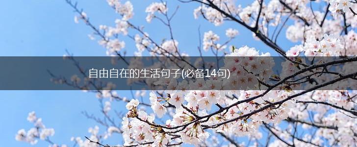 自由自在的生活句子(必备14句),第1张