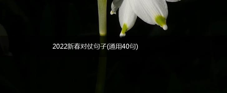 2022新春对仗句子(通用40句),第1张