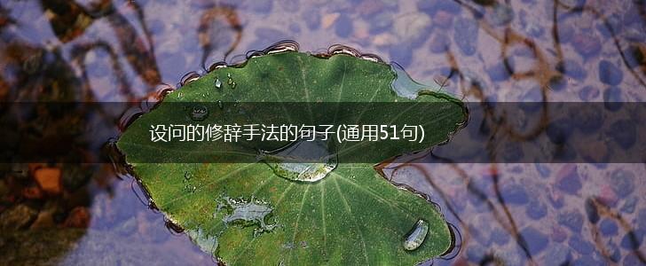 设问的修辞手法的句子(通用51句),第1张