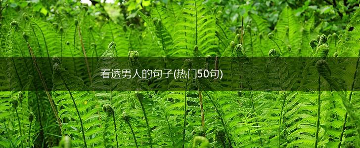 看透男人的句子(热门50句),第1张