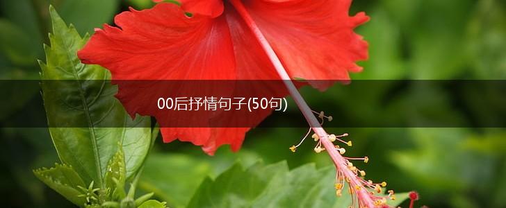 00后抒情句子(50句),第1张