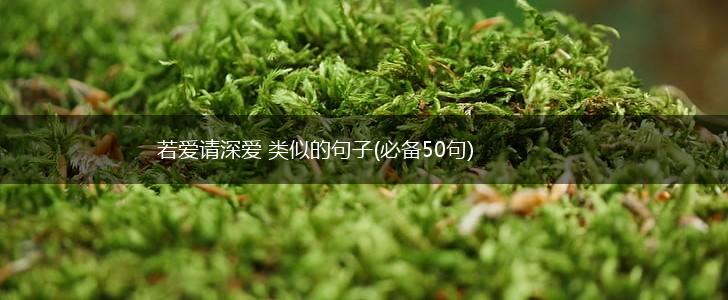 若爱请深爱 类似的句子(必备50句),第1张