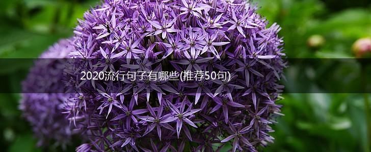 2020流行句子有哪些(推荐50句),第1张