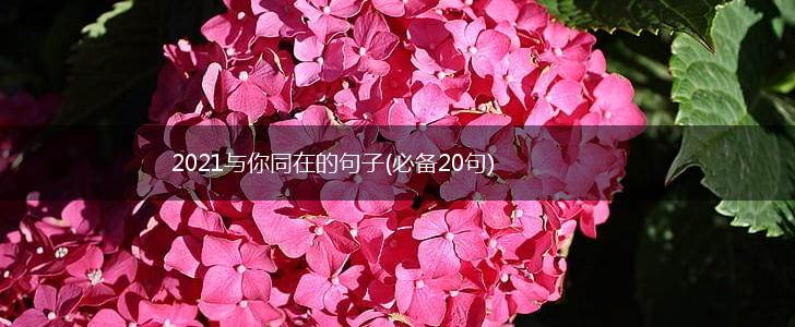 2021与你同在的句子(必备20句),第1张