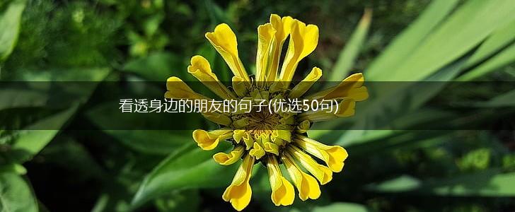 看透身边的朋友的句子(优选50句),第1张