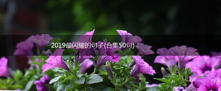2019最闪耀的句子(合集50句),第1张