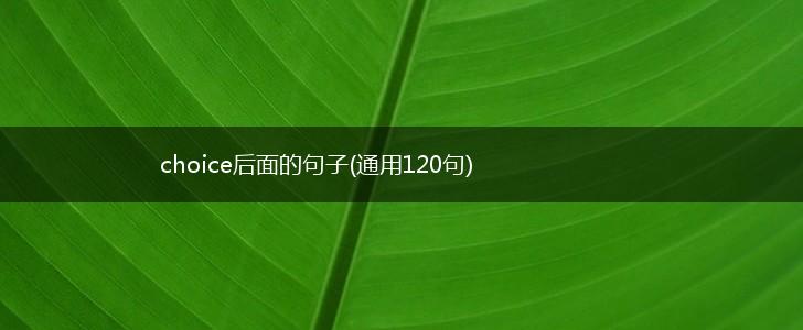 choice后面的句子(通用120句),第1张