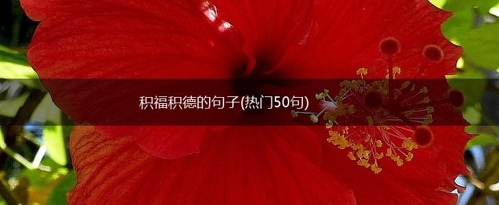 积福积德的句子(热门50句),第1张