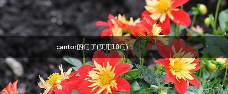 cantor的句子(实用10句),第1张