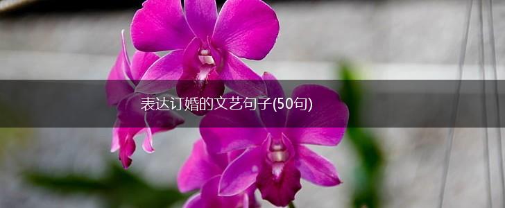 表达订婚的文艺句子(50句),第1张