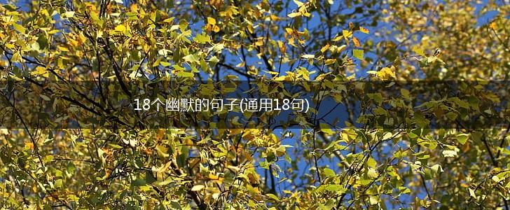 18个幽默的句子(通用18句),第1张
