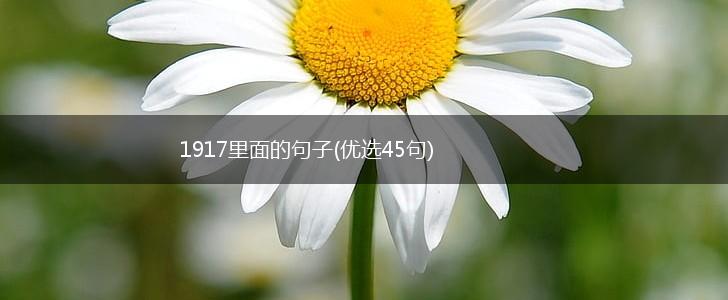 1917里面的句子(优选45句),第1张