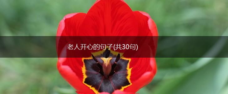 老人开心的句子(共30句),第1张