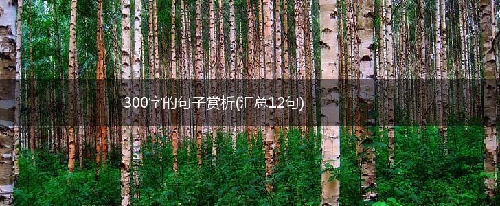 300字的句子赏析(汇总12句),第1张